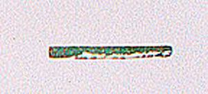 Thumbnail of Fragment (1926.02.0129T)