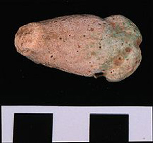 Thumbnail of Sculpture Fragment (1926.02.0173)