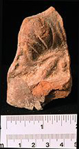 Thumbnail of Votive Figurine Fragment: Torso  (1926.02.0177)