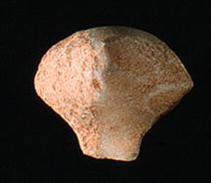 Thumbnail of Figurine Fragment, Head, "Stargazer"  (1995.02.0001)