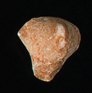 Thumbnail of Figurine Fragment, Head, "Stargazer"  (1995.02.0005)