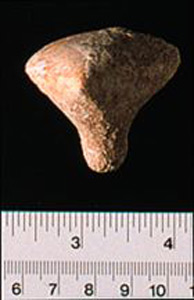 Thumbnail of Figurine Fragment, Head, "Stargazer"  (1995.02.0007)