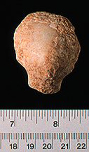 Thumbnail of Figurine Fragment, Head, "Stargazer"  (1995.02.0009)