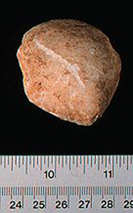 Thumbnail of Figurine Fragment, Head, "Stargazer"  (1995.02.0010)