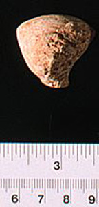 Thumbnail of Figurine Fragment, Head, "Stargazer"  (1995.02.0017)