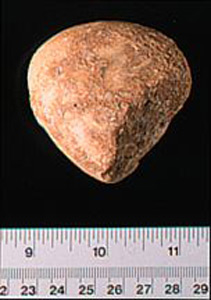 Thumbnail of Figurine Fragment, Head, "Stargazer"  (1995.02.0020)