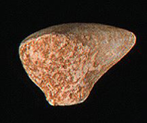 Thumbnail of Figurine Fragment, Head, "Stargazer"  (1995.02.0025)