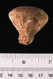Thumbnail of Figurine Fragment, Head, "Stargazer"  (1995.02.0028)