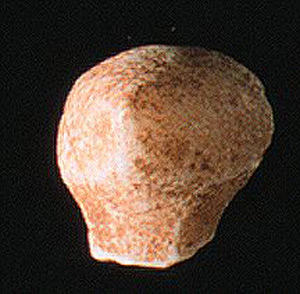Thumbnail of Figurine Fragment, Head, "Stargazer"  (1995.02.0031)