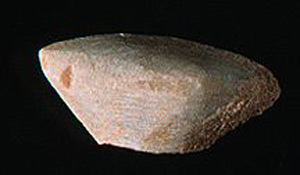 Thumbnail of Figurine Fragment, Head, "Stargazer"  (1995.02.0038)