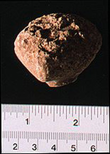 Thumbnail of Figurine Fragment, Head, "Stargazer"  (1995.02.0039)