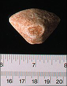 Thumbnail of Figurine Fragment, Head, "Stargazer"  (1995.02.0041)