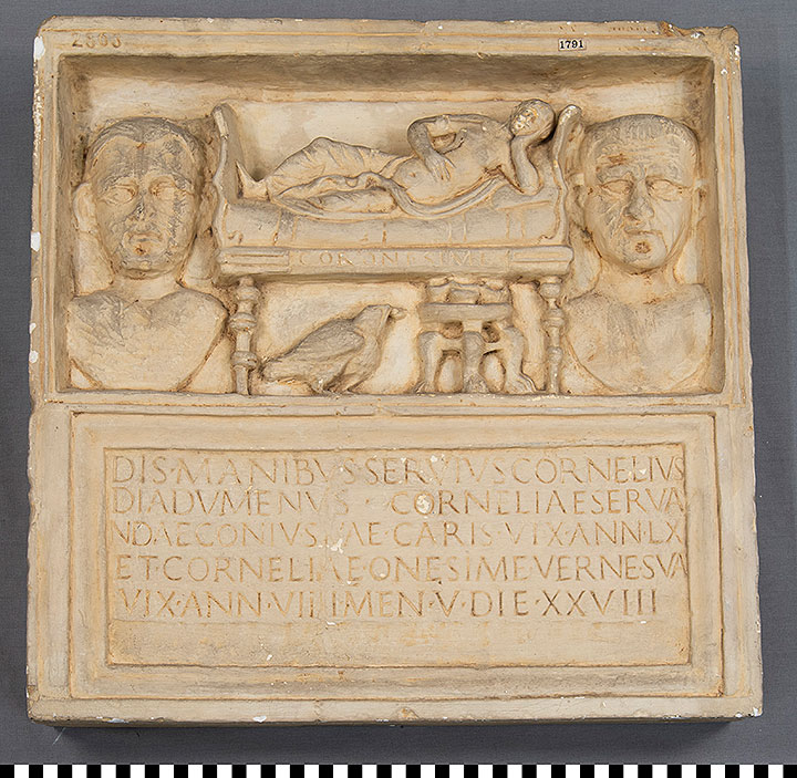 Thumbnail of Plaster Cast of Urn of Cornelia Servanda
 (1900.12.0093)