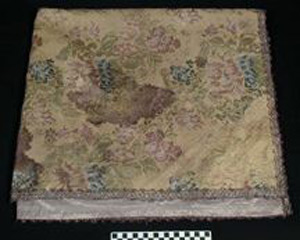 Thumbnail of Throw (1900.26.0064)