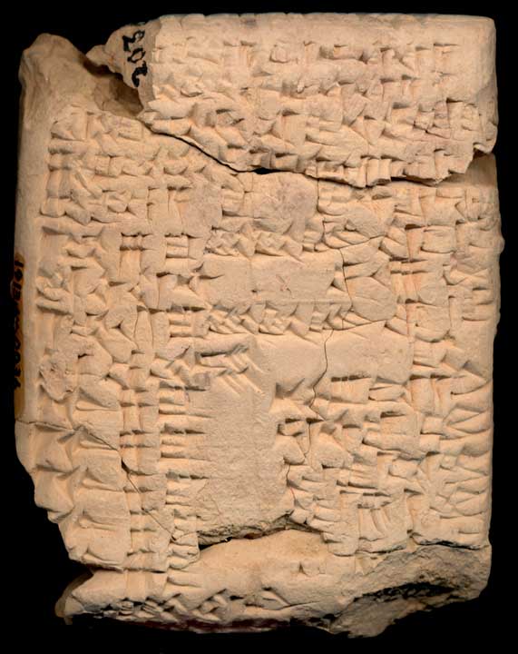 Thumbnail of Cuneiform Tablet (1913.14.0036)