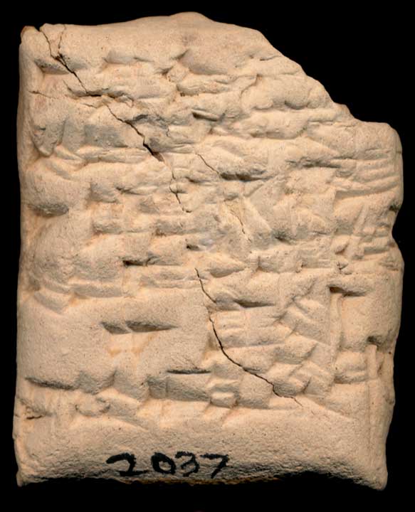 Thumbnail of Cuneiform Tablet (1913.14.0037)