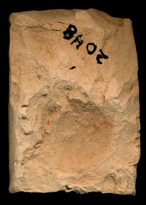 Thumbnail of Old Babylonian Cuneiform Tablet (1913.14.0048)