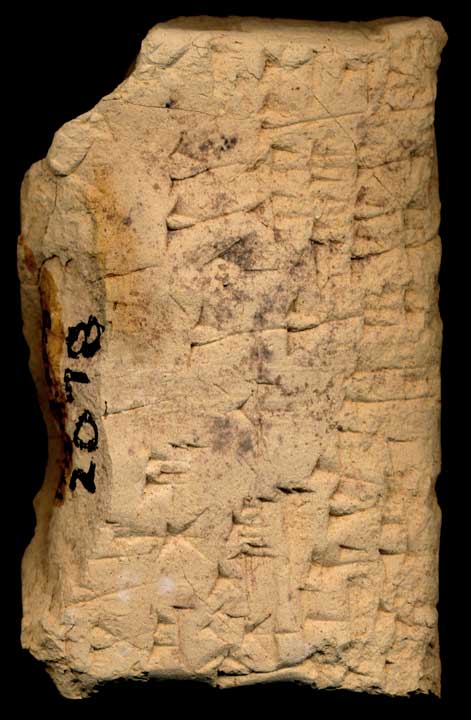 Thumbnail of Cuneiform Tablet (1913.14.0078)
