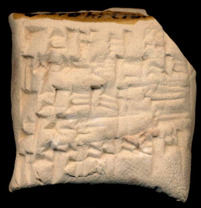 Thumbnail of Cuneiform Tablet (1913.14.0109)