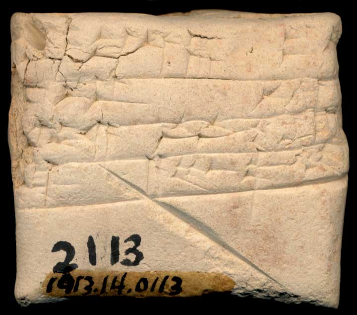 Thumbnail of Cuneiform Tablet (1913.14.0113)