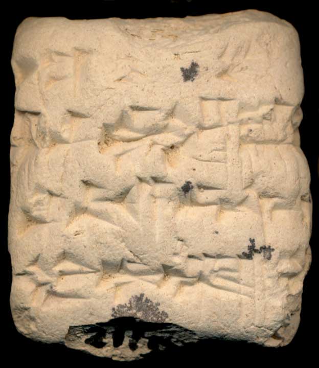 Thumbnail of Cuneiform Tablet (1913.14.0116)