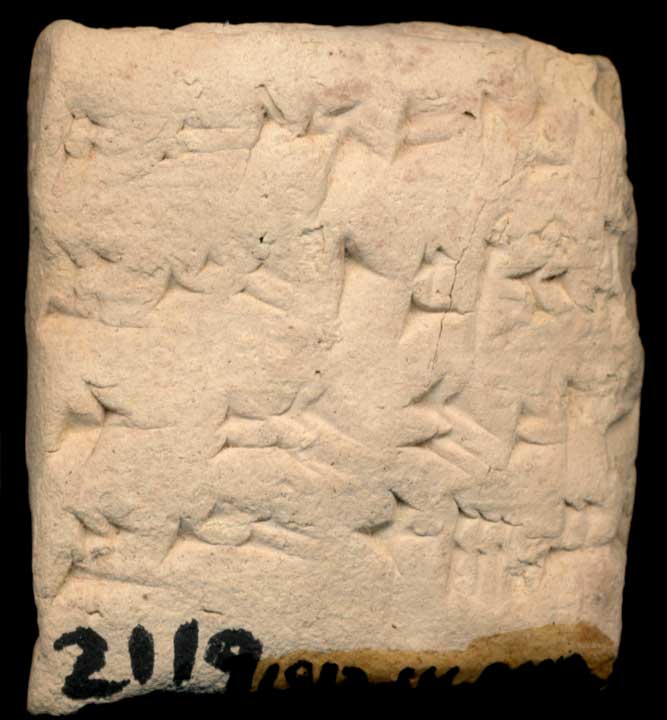 Thumbnail of Cuneiform Tablet (1913.14.0119)