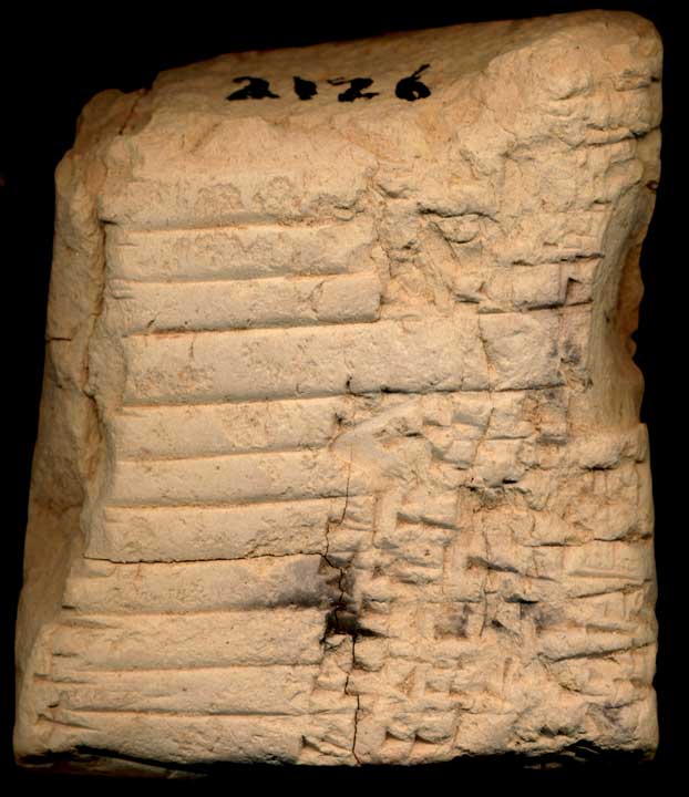 Thumbnail of Cuneiform Tablet (1913.14.0126)