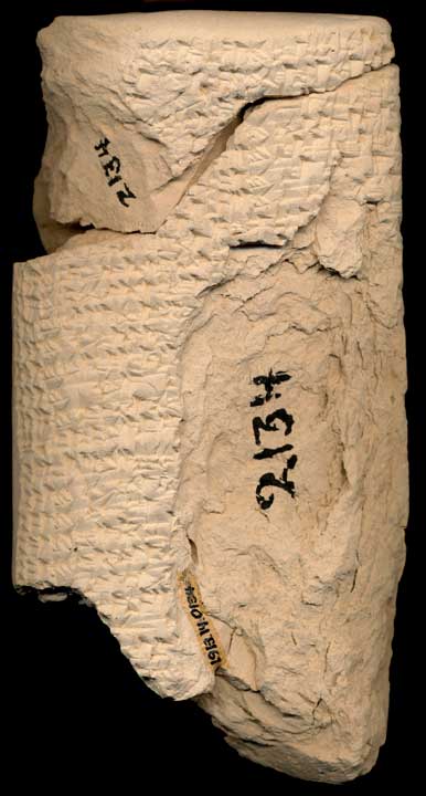 Thumbnail of Cuneiform Tablet (1913.14.0134)