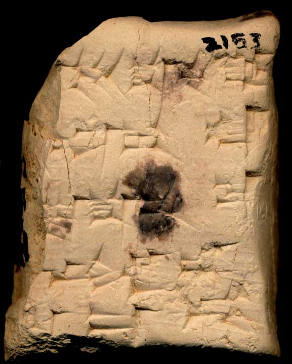 Thumbnail of Cuneiform Tablet (1913.14.0153)