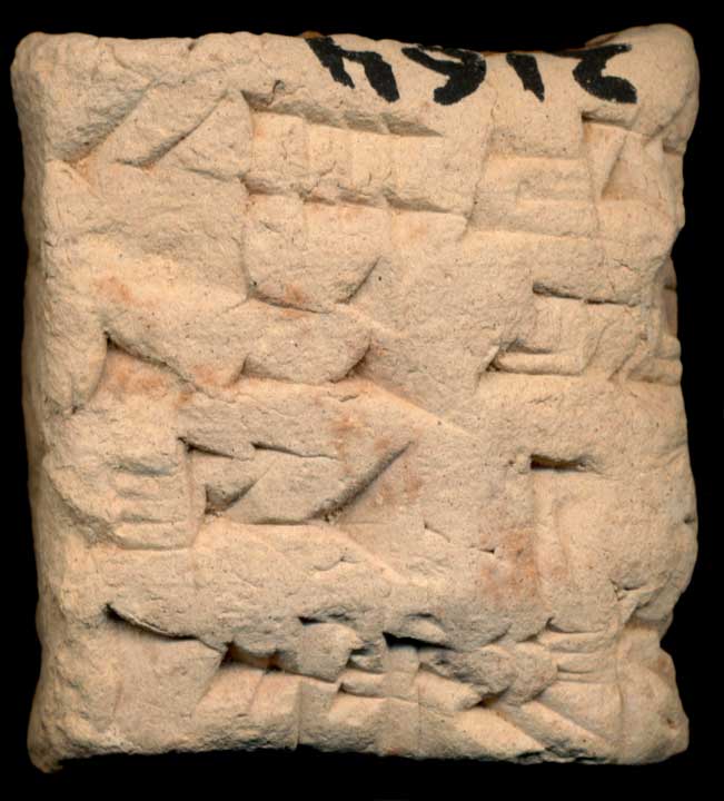 Thumbnail of Cuneiform Tablet (1913.14.0164)