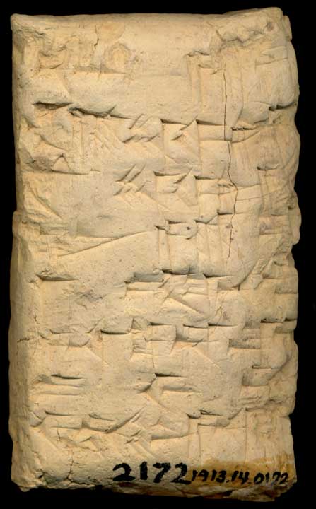 Thumbnail of Cuneiform Tablet (1913.14.0172)