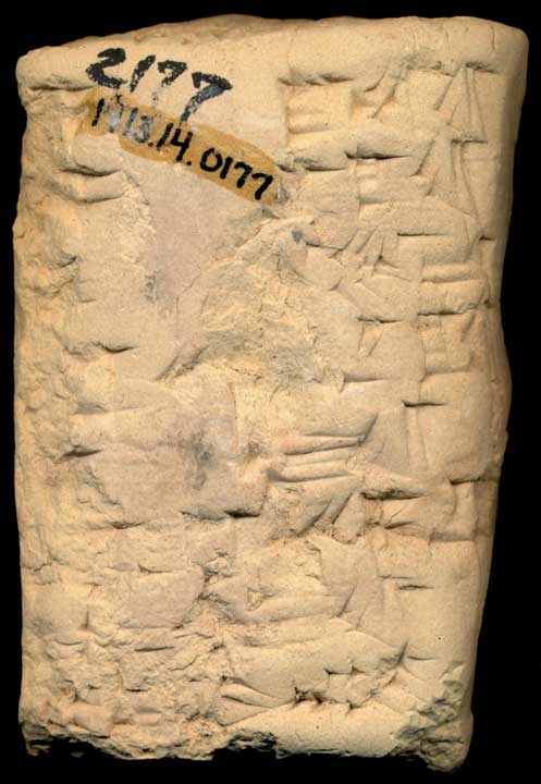 Thumbnail of Cuneiform Tablet (1913.14.0177)