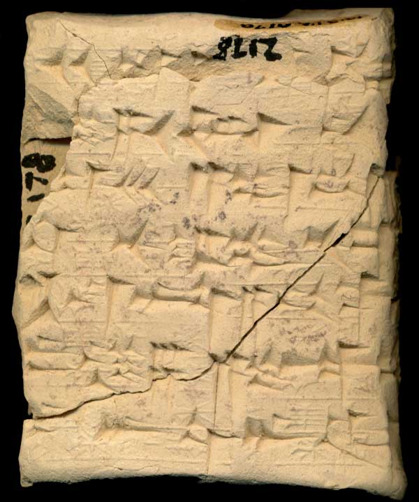 Thumbnail of Cuneiform Tablet (1913.14.0178)
