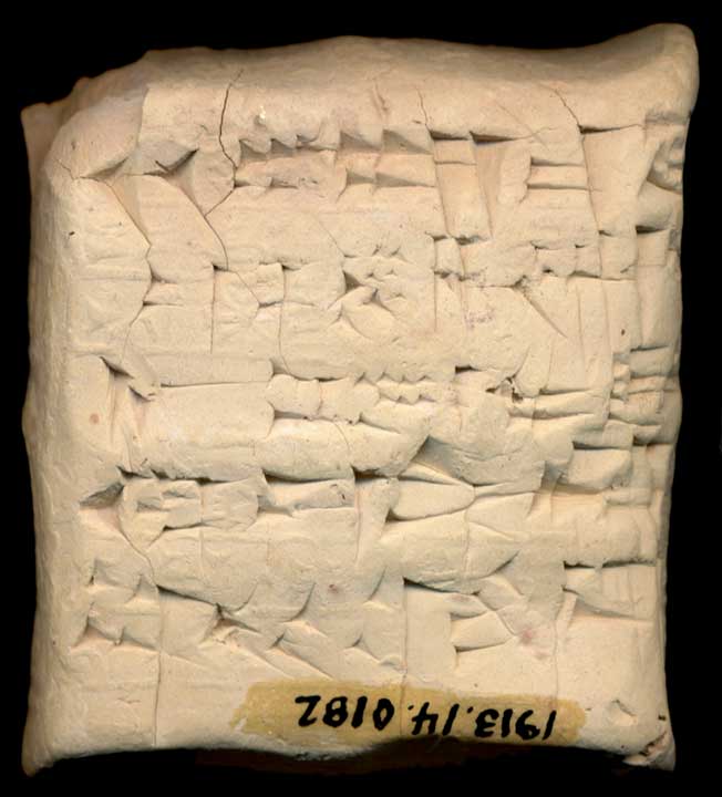 Thumbnail of Cuneiform Tablet (1913.14.0182)