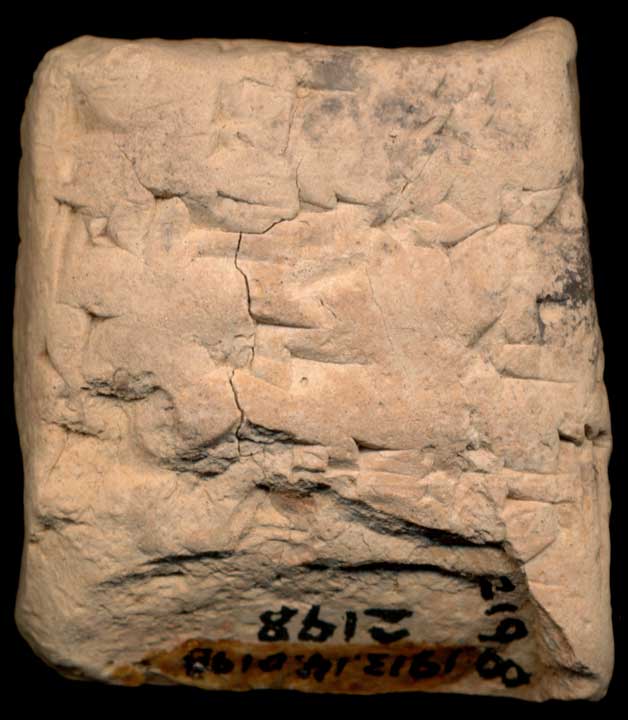 Thumbnail of Cuneiform Tablet (1913.14.0198)
