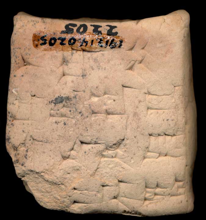 Thumbnail of Old Babylonian Cuneiform Tablet (1913.14.0205)
