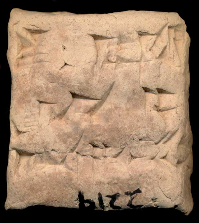 Thumbnail of Cuneiform Tablet (1913.14.0219)