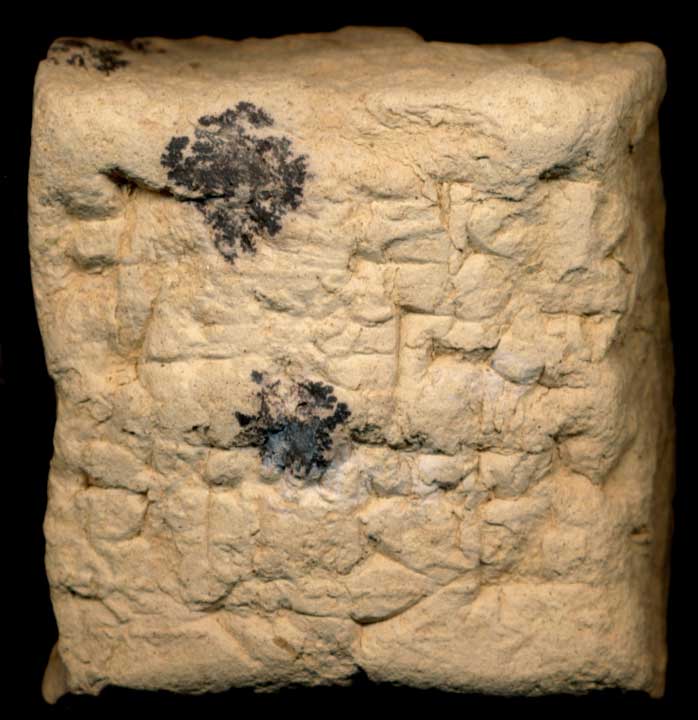 Thumbnail of Old Babylonian Cuneiform Tablet (1913.14.0373)