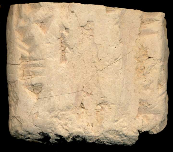 Thumbnail of Old Babylonian Cuneiform Tablet (1913.14.0380)
