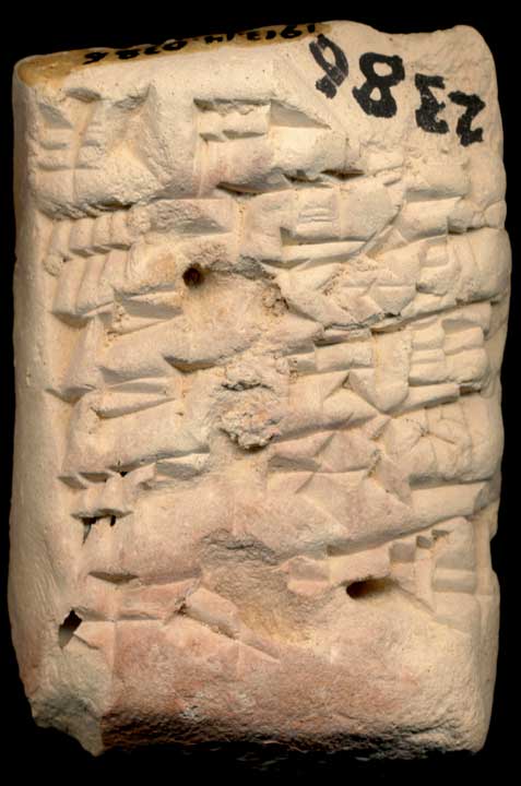 Thumbnail of Cuneiform Tablet (1913.14.0386)