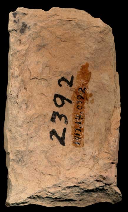 Thumbnail of Cuneiform Tablet (1913.14.0392)