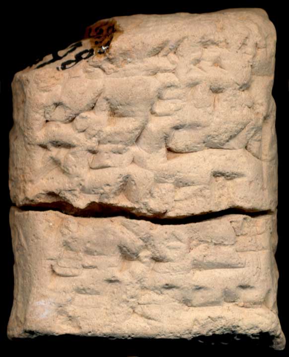Thumbnail of Cuneiform Tablet (1913.14.0398)