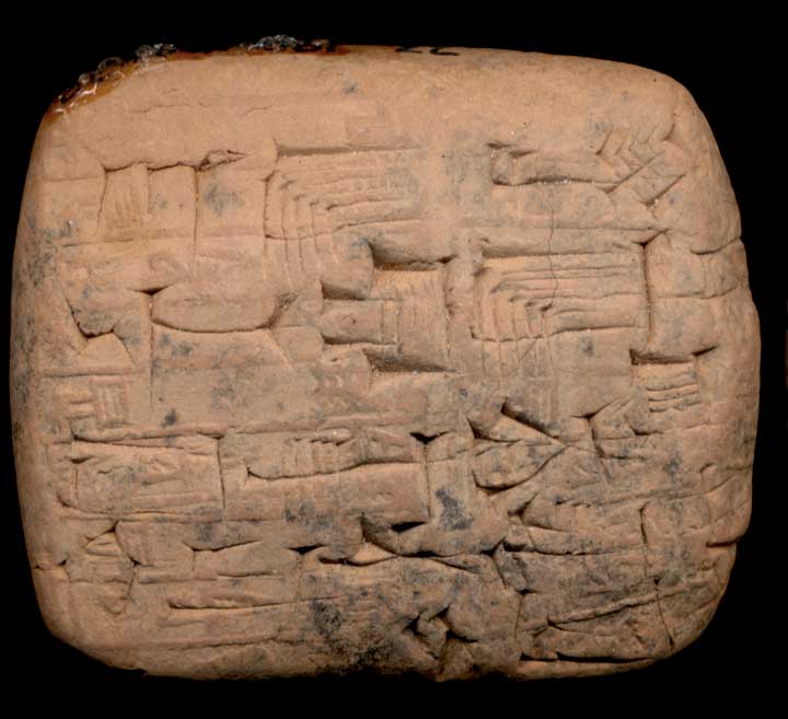 Thumbnail of Cuneiform Tablet (1913.14.0439)