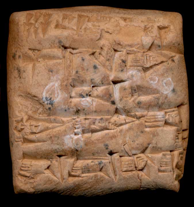 Thumbnail of Cuneiform Tablet (1913.14.0446)