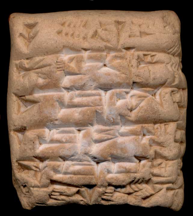 Thumbnail of Cuneiform Tablet (1913.14.0462)