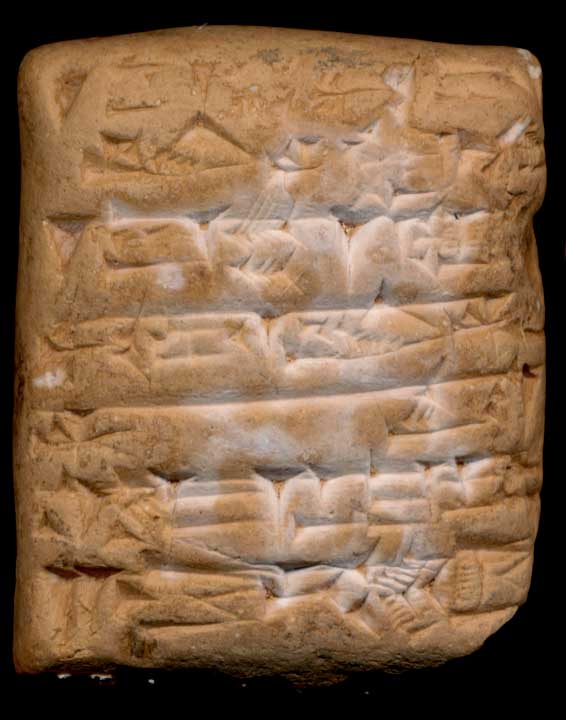 Thumbnail of Cuneiform Tablet (1913.14.0466)