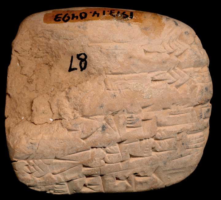 Thumbnail of Cuneiform Tablet (1913.14.0493)