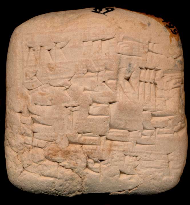 Thumbnail of Cuneiform Tablet (1913.14.0495)