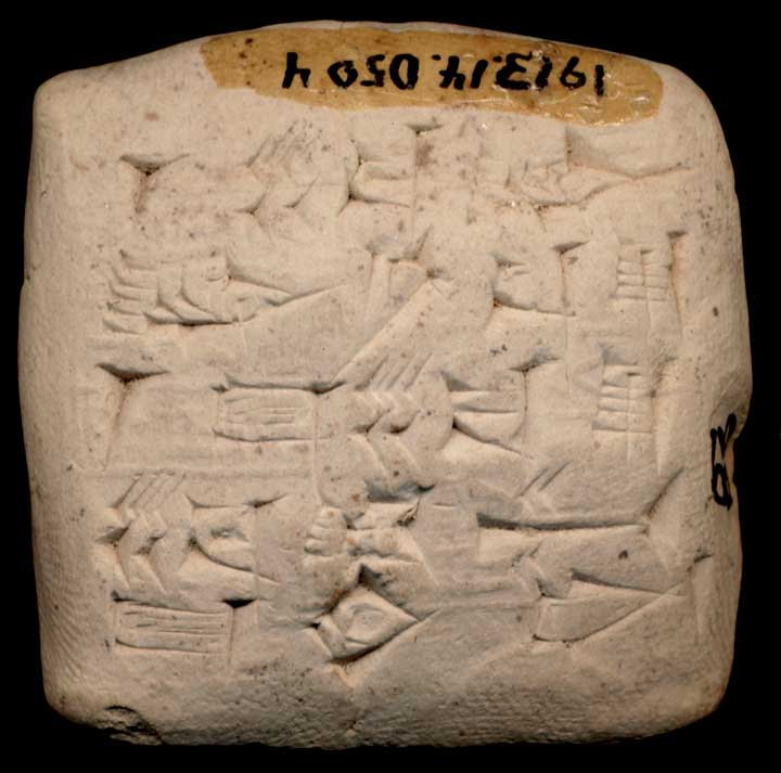 Thumbnail of Cuneiform Tablet (1913.14.0504)