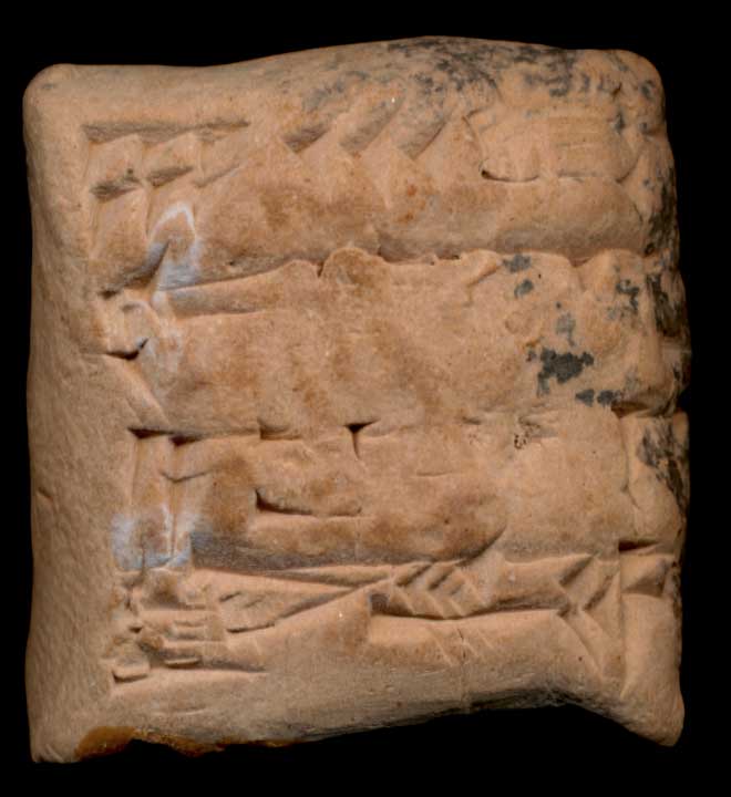 Thumbnail of Cuneiform Tablet (1913.14.0516)
